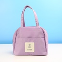 ZLB1619 Lunch Bag 