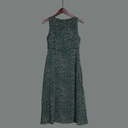 XL313255 Printed Chiffon Dress Women