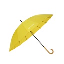 KAC0361 Umbrella